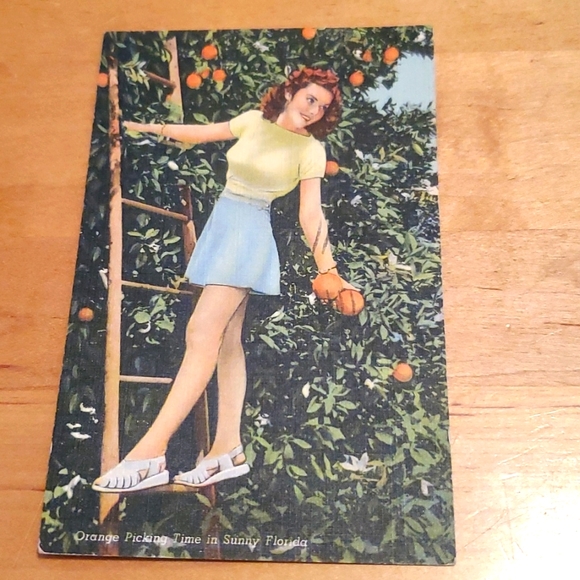 2 Cents Stamp John Adams RARE 1797-1801 Postage Stamp Florida Post Card - Picture 2 of 5